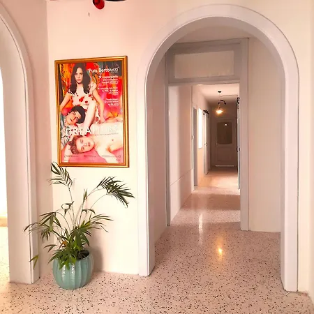 Hostel Boho *
