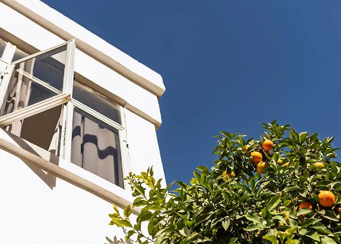 Boho Hostel Saint Julian's